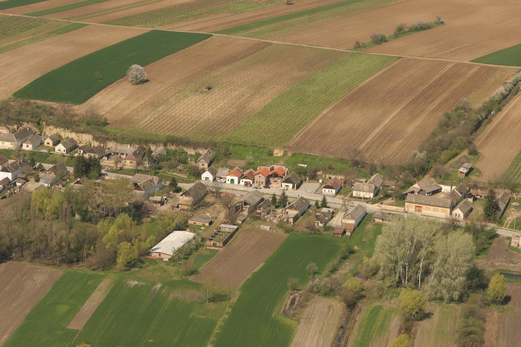 Podrumi Kolar "Suza Baranje" Kneževi Vinogradi Eksteriør bilde