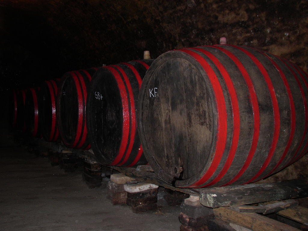 Podrumi Kolar "Suza Baranje" Kneževi Vinogradi Eksteriør bilde